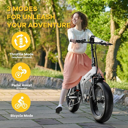 1000W Folding Electric Bike, 48V 20AH Large Removable Battery E Bike, 30+MPH, 80 Miles Max Range, 20" Fat Tire Electric Bike for Adults, Adult Electric Bicycles for Commute Beach Snow