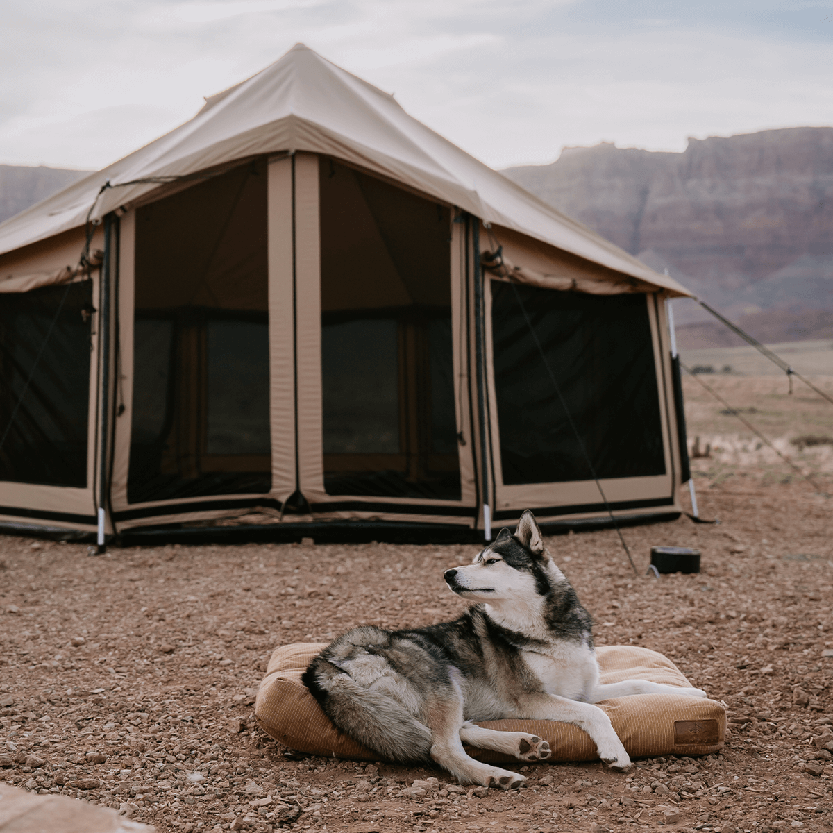 18' Altimus Bell Tent